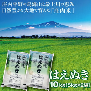 令和3年産 はえぬき10kg （5kg×2袋） 山形県の米どころ庄内平野で育った庄内米　送料無料