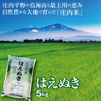 令和5年産 はえぬき5kg 山形県の米どころ庄内平野で育った庄内米　送料無料