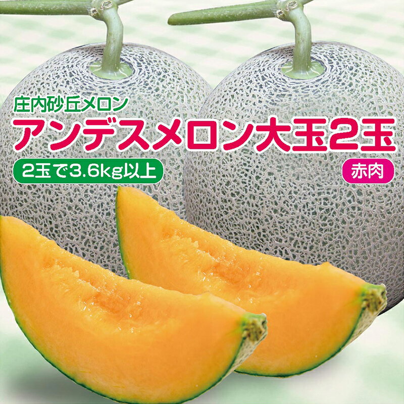 庄内砂丘メロン　アンデス（赤肉）大玉2玉で3.6kg以上　つる付　化粧箱入　贈答用・ご自宅用にも【送料無料】