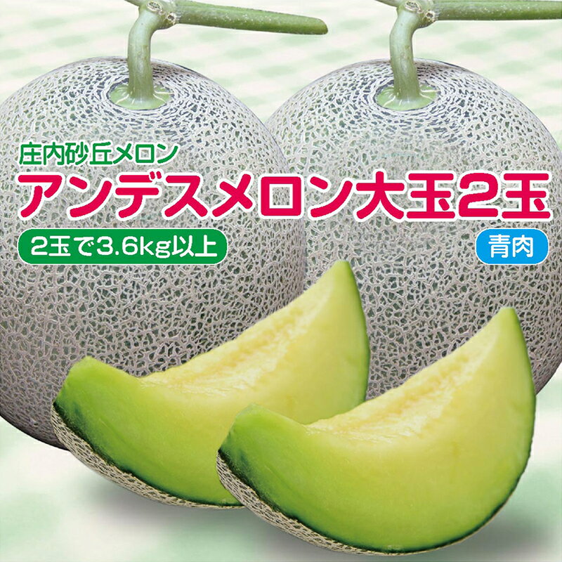 メロン 庄内砂丘メロン　アンデス（青肉）大玉2玉で3.6kg以上　つる付　化粧箱入　お中元・贈答用・ご自宅用にも【送料無料】