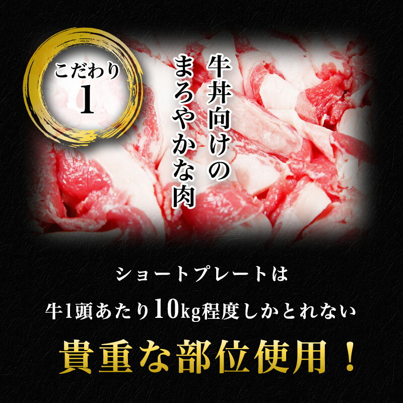 吉野家牛丼の具30食(3.6kg)