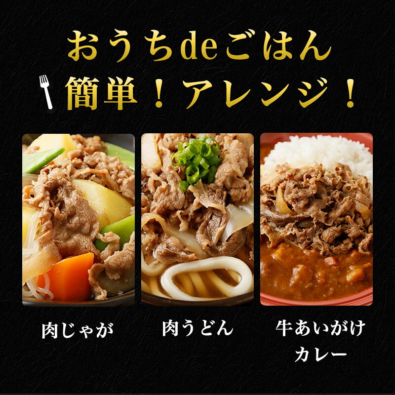 吉野家牛丼の具30食(3.6kg)