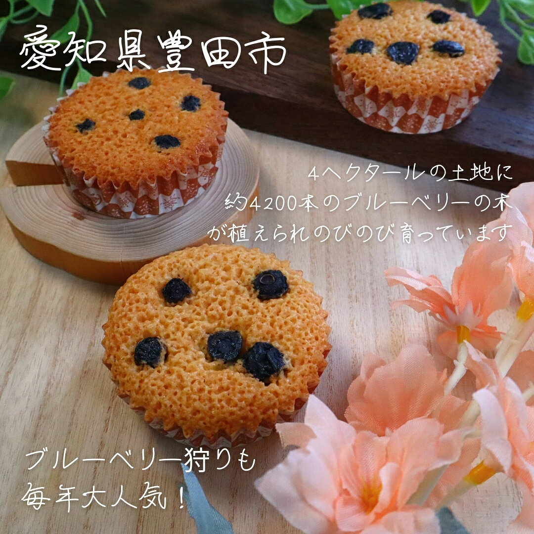 ブルーベリーのこみち　ブルーベリーフィナンシェ8個入り