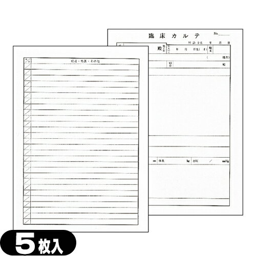 ｢メール便(日本郵便) ポスト投函 送料無料｣臨床カルテ x 5枚入 (B5・A4指定)(SS-105)【smtb-s】