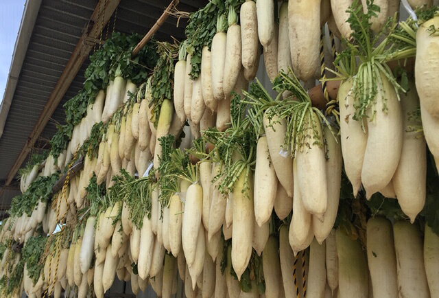 [クール便]　無添加　漬物　田舎漬け沢庵　1kg　（たくあん　ぬか漬け　糠漬け　ヌカ漬け　昭和ホンポ　酸っぱい　すっぱい　昔ながら） showahonpo-10000002 昭和ホンポ サンプル画像3