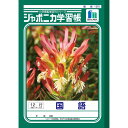 【公式】ジャポニカ学習帳 B5 JL-11 国語 12行縦リーダー ノート【メール便5冊まで】