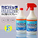 2本セット カビ カビ取り 液スプレー カビパッチ 2000g 部屋の壁 壁紙 クロス ベランダ 縁側 押し入れ 外壁 土壁 窓パッキン お風呂 浴槽 排水溝 キッチン トイレ 黒カビ 赤カビ 黒ズミ 塩素系 カビ取り剤 カビ洗剤 除菌 掃除 辻一株式会社