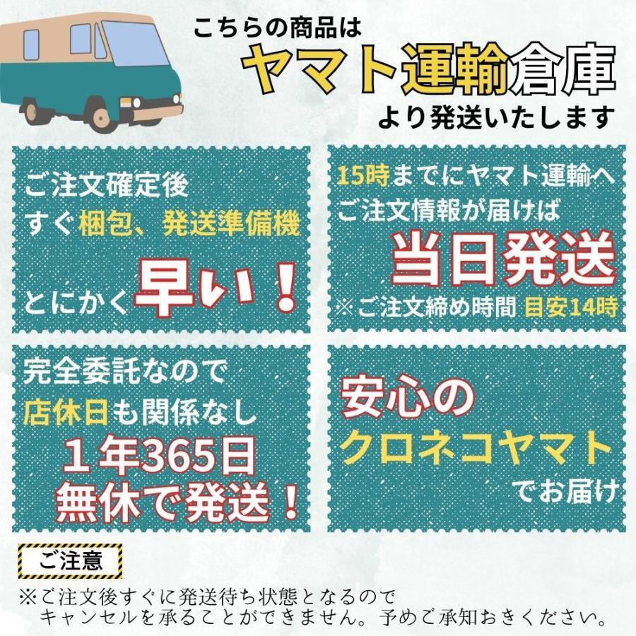 Show Case 楽天市場店のステッパー 高齢者 静穏 テレビ ながら運動 足踏み 健康器具 運動器具 室内振動マシン リハビリ 道具｜アングル3