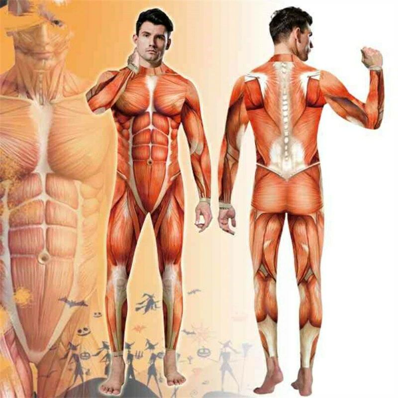 メンズ 男性 コスプレ 仮装 変装 医学模型 筋肉模型 模型 人体 人体模型 筋肉 コスチューム 大人 全身タイツ 衣装 showcase-10007017 Show Case 楽天市場店 サンプル画像2
