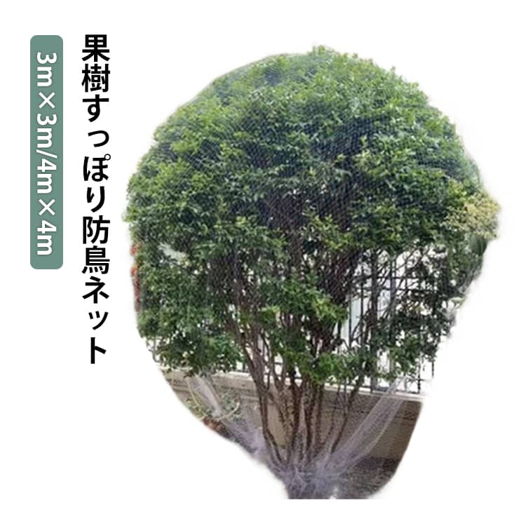 鳥よけ対策に最適な果樹保護ネット。大切な果樹に一本ずつすっぽり被せても余裕の幅広タイプ。かぶせるだけで簡単に設置でき、初心者でも安心です。細かいメッシュ構造で通気性が良く、日光も遮らず植物の成長を妨げません。ナイロン素材を使用しており、耐久性に優れ繰り返し使用可能です。果樹園や家庭菜園、ベランダ栽培など幅広いシーンで活躍します。サイズFサイズについての説明【サイズ】3m×3m(高さ約1.2mまでの樹木に対応しています)/4m×4m(高さ約1.4mまでの樹木に対応しています)/素材【素材】ナイロン素材色3×3m 4×4m備考サイズ詳細等の測り方はスタッフ間で統一、徹底はしておりますが、実寸は商品によって若干の誤差(1cm〜3cm )がある場合がございますので、予めご了承ください。製造ロットにより、細部形状の違いや、同色でも色味に多少の誤差が生じます。パッケージは改良のため予告なく仕様を変更する場合があります。▼商品の色は、撮影時の光や、お客様のモニターの色具合などにより、実際の商品と異なる場合がございます。あらかじめ、ご了承ください。▼生地の特性上、やや匂いが強く感じられるものもございます。数日のご使用や陰干しなどで気になる匂いはほとんど感じられなくなります。▼同じ商品でも生産時期により形やサイズ、カラーに多少の誤差が生じる場合もございます。▼他店舗でも在庫を共有して販売をしている為、受注後欠品となる場合もございます。予め、ご了承お願い申し上げます。▼園芸 果樹 すっぽり 防鳥網 4m び 3×3m 4×3.9m