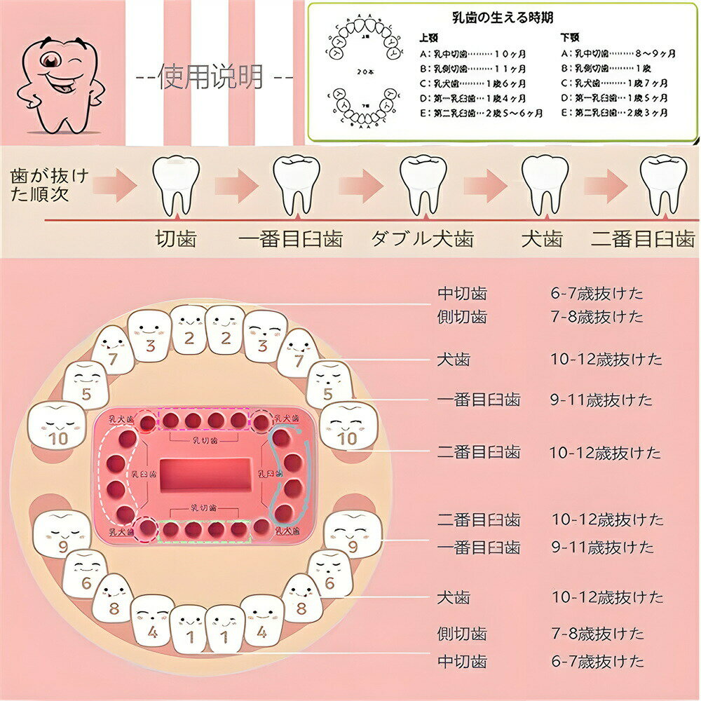 乳歯ケース 保管容器 ボックス 歯入れケース 防カビ 乳歯 赤ちゃんの歯箱 プラスチック名入れ 箱 キッズ出産祝い 出産記念品 プレゼント おしゃれ かわいい 子供 大切な乳歯の保管