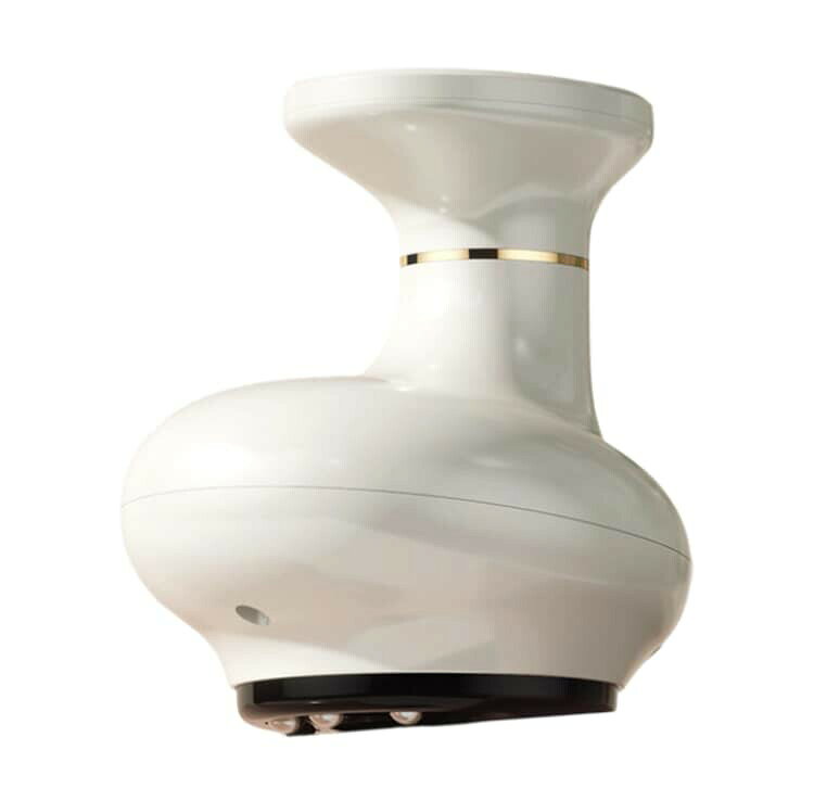 電動かっさ リラックス 電動 美顔器 リフトケア カッサ リフトケア美顔器 かっさプ...