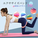 【送料無料】エクササイズバンド トレーニングチューブ ゴムバンド ストレッチ 自宅 筋トレ チューブ ループバンド 美尻 ヨガ バンド エクササイズ ストレッチ 5色 バンド セット 運動不足 室内 簡単 在宅(4)