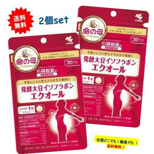 最大3,000円引きクーポン先着配布! 複数購入割引のクーポン配布中 [セット品]【小林製薬の栄養補助食品..