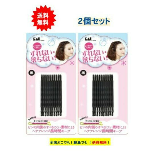 KQ3124 貝印 すべらないヘアピン (黒) × 2個セット 【送料無料】