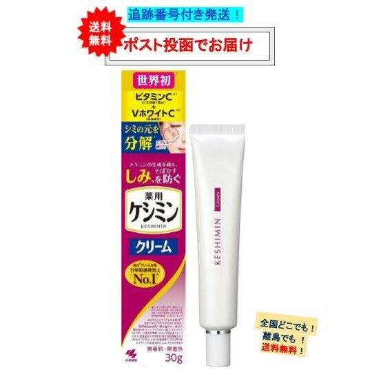 【小林製薬】 薬用 ケシミン クリーム (30g) × 1個 【送料無料】