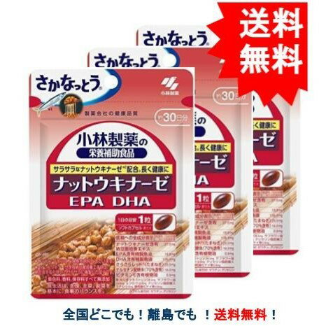 3袋セット【送料無料】 小林製薬の栄養補助食品 ナットウキナ