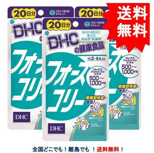 複数購入割引のクーポン配布中 DHC フォースコリー 20日分 (80粒) × 3個セット 【送料無料】