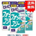 複数購入割引のクーポン配布中 DHC フォースコリー 20日分 (80粒) × 3個セット 【送料無料】