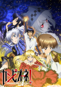 カンピオーネ！〜まつろわぬ神々と神殺しの魔王〜 第十話 荒ぶる魔王、太陽の勇者【動画配信】