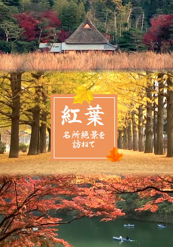 紅葉 名所絶景を訪ねて 日光（栃木）【動画配信】