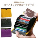 オーストリッチ調がま口カードケース カードケース 財布 がま口 じゃばら 大容量 オーストリッチ調 レディース ポイントカード カード入れ 蛇腹式 ジャバラ プ...