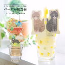 ペーパー加湿器 紙 ペーパー 節電 エコ 乾燥 パーソナル加湿器 加湿器 自然気化式 卓上 ミニ 簡易加湿器 乾燥対策 風邪対策 インフルエンザ対策 加湿 オフィス デスク インテリア 電源不要 送料無料