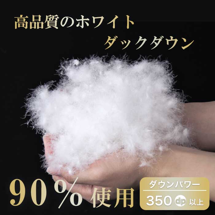 ホワイトダックダウン 90% 羽毛掛ふとん‐ダウン 羽毛布団 掛け布団 シングル 150×210cm 冬用 暖か あったか 日本製 ルナール メーカー直送 冷え対策 エクセルゴールドラベル 静電気防止 ダニ防止 [2]