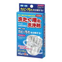 洗たく槽の洗浄剤 40g×2包入 洗濯槽クリーナー ドラム式洗濯機 全自動洗濯機 ステンレス槽 プラスチック槽 ドラム式 洗濯槽洗浄 洗濯機洗浄 洗濯槽 洗濯機 洗浄剤 粉末 洗剤 クリーナー 洗濯槽洗剤 日本製 国産 送料無料