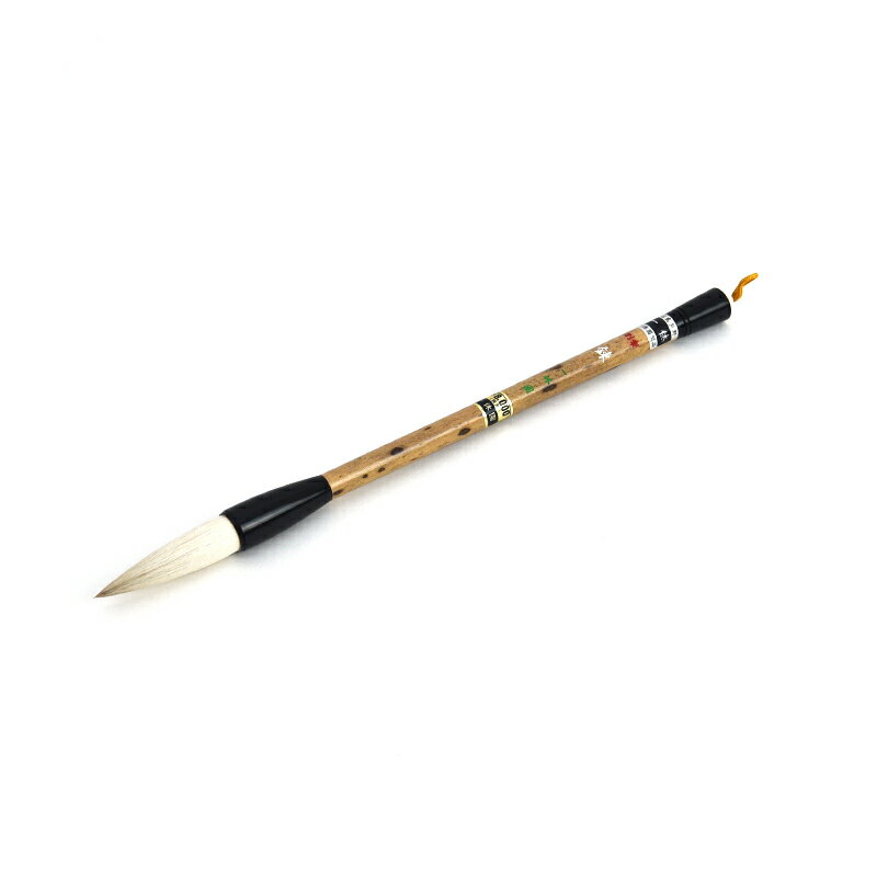 ������ϣ����ٱ�