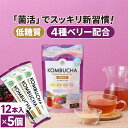 ★4/25限定!15%OFFクーポン★ コンブチャ 粉末 ミックスベリー (4g×12包)×5個 kombucha | 仙台勝山館 | 紅茶キノコ クレンズ teazen 香料・着色料・保存料・甘味料 不使用 酵素 酵素ドリンク ファスティング 腸 菌活 善玉菌 乳酸菌 酵母 ダイエット 個包装 ミックスベリー