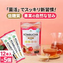 コンブチャ 粉末 ザクロ (4g×12包)×5個 kombucha | 仙台勝山館 | 紅茶キノコ クレンズ teazen 香料・着色料・保存料・甘味料 不使用 酵素 酵素ドリンク ファスティング 腸 菌活 善玉菌 乳酸菌 酵母 粉 ダイエット 個包装 ミックスベリー