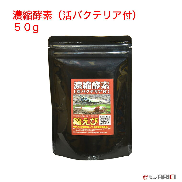 濃縮酵素（活バクテリア付）　50g