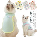 【P10倍+最大2,000円OFFクーポン配布】 ペット用 小型犬 ひんやりベスト 夏 着脱簡単 犬服 暑さ対策 熱中症対策 中型犬 ドッグウェア 接触冷感 犬用 ペット 冷感犬服