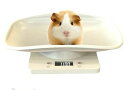 【P10+最大2000OFFクーポンあり】 【送料無料】ペット体重計 子猫 デジタルペット 1g-10kg ペットスケール 両生類用 爬虫類 蛇 亀 スケール 猫 体重計 電子ペット体重計 小型