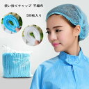 【P10倍ポイント】 研究 加工 衛生 作業 ヘアネット ケアキャップ ネットキャップ 使い捨て ヘアキャップ キャップ 不織布 【500枚セット】高品質