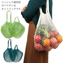 【P10倍ポイント】 レディース トートバッグ 小さめ マイバッグ エコバッグ 折りたたみ 洗えるエコバッグ 編みバッグ メッシュバッグ 2個セット