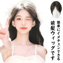 【P10+最大2000OFFクーポンあり】 【送料無料】ナチュラル 自然 カバー かつら S字 女性 つけ毛 ウィッグ 3D構造 エクステ ポイントウィッグ レ...