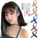 【P10倍ポイント】 耐熱 ストレート エクステンション かつら 髪飾り つけ毛 2本セット ロング丈 部分ウィッグ カラーエクステ ワンタッチ