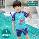 【P10+最大2000OFFクーポンあり】 【送料無料】 水着 上下セット 2点セット 子供用 キッズ ジュニア 男の子 スイムウェア 半袖 セパレート 水泳用品 短パン ショートパンツ クルーネック 海 プール ラッシュガード 川 水遊び 恐竜 ロゴ 男児 こども用