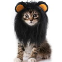 【P10+最大2000OFFクーポンあり】 【送料無料】被り物 変装 ハロウィン コスチューム コスプレ 猫用 犬用 面白い 可愛い ネコ イヌ 猫 犬 ペットウィッグ カツラ かつら