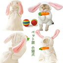 【P10+最大2000OFFクーポンあり】 【送料無料】着ぐるみ ウサギに変身 ペットウェア 可愛い パーカー ペット用品 兎 猫服 小型犬 ペット服