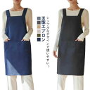 【P10+最大2000OFFクーポンあり】 【送料無料】看護師 介護 保育士 業務用 後ろボタン ポケットあり レディース 紐なし なりにくい 厚手 エプロン ...