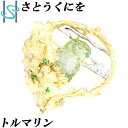 さとうくにを グリーントルマリン ペンダントブローチ ペンダントトップ 10.76ct ガーネット ダイヤモンド 0.13ct K18 イエローゴールド プラチナ Pt900 鷹 タカ 鷲 ワシ 動物 作家 デザイナー