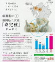 【送料無料】 4袋セット 特別栽培国内産にんにく使用 にんにく玉(にんにく卵黄)ゴールド60粒入 4袋セット ぜひ！ 無添加　ビタミン　ミネラル　S-アリルシステイン　アリシン　アホエン 3