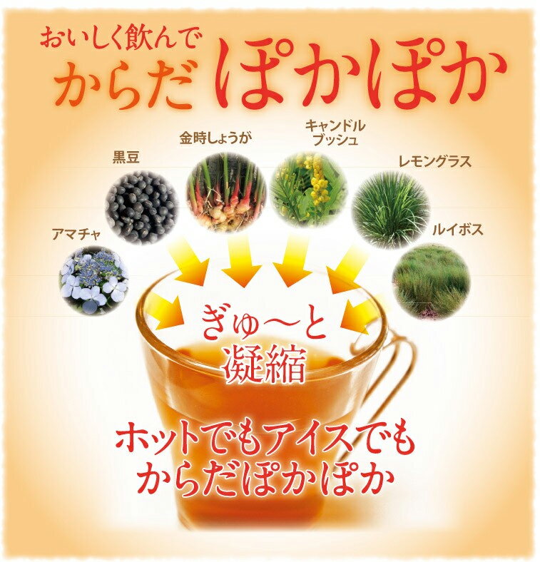 【送料無料】茶眠(チャーミング)×1袋　60g(2g×30包) 3