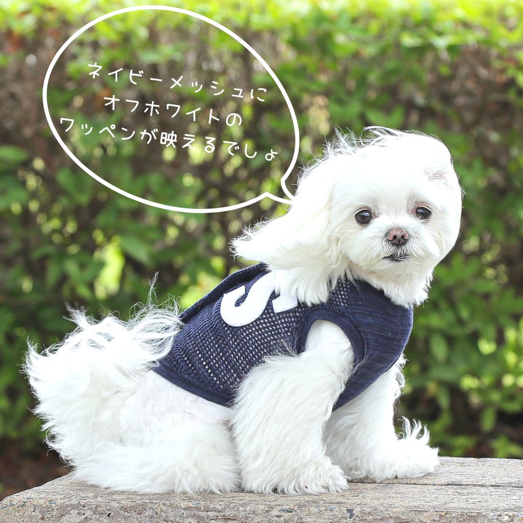 ���������泫����100%SHUBEANS���ꥸ�ʥ륳�åȥ��å���Хå������ץ�ȥåץ�S��åڥ󥷥˥����ѥԡ���ȩ���꤬�ɤ��̵��������֤䤫�糰���к�ȴ�����к����Ф���
