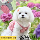犬服 夏用 キャミソール 韓国 ブランド ZOOBICO ギンガムチェック キャロットブローチ付 トップス かわいい おしゃれ 犬の服 薄手 マルチーズ トイプードル ヨーキー