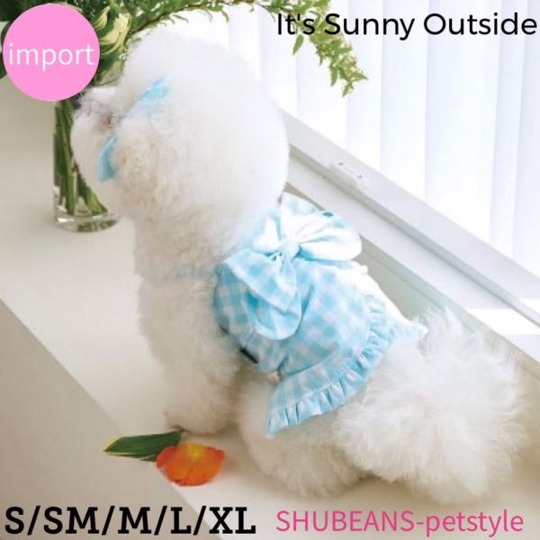 【 SALE 】サマーリボントップ ブルー It 039 s Sunny Outside 犬服 犬 服 犬の服 ペット服 ドッグウェア 夏用 韓国犬服 韓国スタイル かわいい おしゃれ