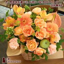 送料無料 あす楽対応 ご用途 お祝い記念日 アレンジメント Congratulations Arrangement 結婚記念日 花 結婚祝い フラワー 両親 妻 フラワーアレンジメント お祝い 誕生日 プレゼント 女性 母 …